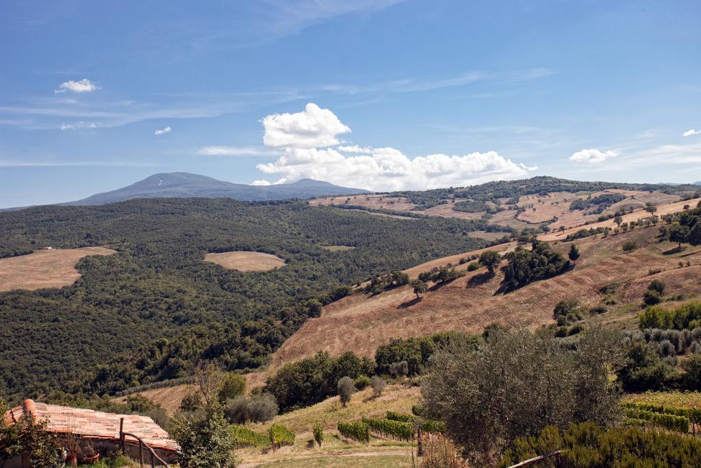 Villa Podere Casella Castiglione dʼOrcia Exterior foto
